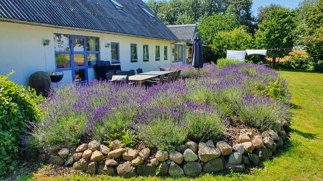 Rolso Retreat Βίλα Knebel Εξωτερικό φωτογραφία